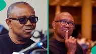 New video of Peter Obi serving food and drinks to political allies attracts reactions