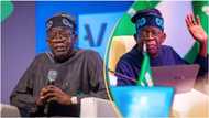 BREAKING: Tinubu writes senate to confirm 11 as Supreme Court justices, full list emerges