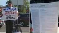 Man goes on street with placard in search of job, hands out his CVs to people, gets over 200 offers