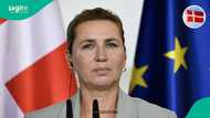 Denmark lists 4 benefits foreigners with business residence permits cannot receive