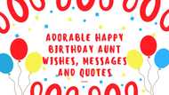 50+ adorable happy birthday aunt wishes, messages and quotes