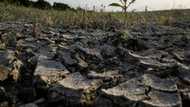 Climate change's fingerprints on ever hotter heatwaves