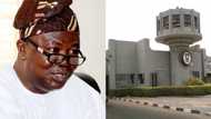 EXPLAINER: From COVID-19 to ASUU - Here are 3 reasons FG postpones resumption of universities