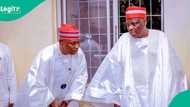Kano: Kwankwaso ya ɗauki zafi game da Abba Kabir, ya buƙaci ya ajiye kujerarsa ta gwamna