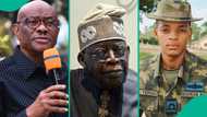 Tinubu's defence minister reacts to Wike vs naval officer