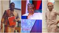 Social media activist drops bombshell, says Buhari was expected to appoint Ezekwesili as minister