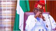 President Bola Tinubu receives fresh message concerning cabals
