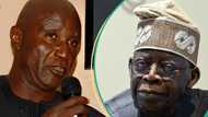 Fuel hike: Tinubu told to immediately take action on Nigeria’s prolonged refinery crisis