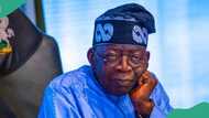 Tinubu in closed door meeting with security chiefs amid hunger protests