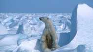 Biden bars drilling over vast swath of Alaska