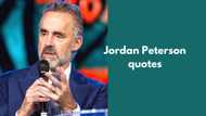 30 most famous Jordan Peterson quotes of all time