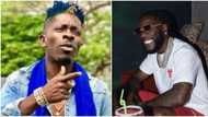 “Even though we don’t talk, so happy to see him succeed”: Ghanaian singer Shatta Wale hails Burna Boy