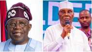 Breaking: Tribunal reserves judgement challenging President Tinubu’s victory