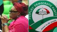 PDP declares Ibori's daughter's seat in National Assembly vacant, gives reason