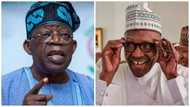 Buhari, Tinubu and the myth of Oluronbi by Emmanuel Ogbeche