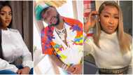 It's for cowards: Woman said to be Davido's 4th baby mama reacts to allegations that she shaded Chioma