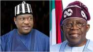 BREAKING: President Tinubu appoints Buhari's ex-minister as SGF