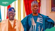 Video trends as Tinubu finally meets with Borno gov Zulum to end Boko Haram terror