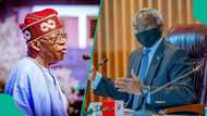 Actual reason Fasola is not in Tinubu's cabinet: Ex-presidential aide