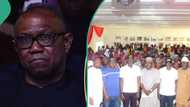 Kogi 2023: Peter Obi's Labour Party collapse structure for APC in 21 LGA