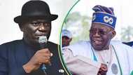 "A big slap": Tinubu under fire for "scrapping" Ministry of Niger Delta