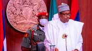 COVID-19 in Aso Rock: Adesina speaks on Buhari's true health status