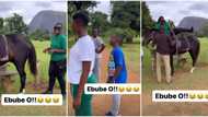 “Kids have no filter”: Funny video as Warri Pikin’s son begs her not to climb horse because she might kill it