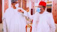2023: Southeast governor says it is too early to discuss Igbo presidency, gives reason