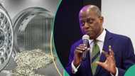 Big boost for Naira as Nigeria’s foreign reserves record first gain in 5 months