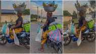 "Brave mother": Agbo seller rides motorcycle with bowl of native medicine on her head, video goes viral