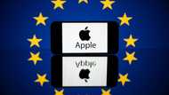 Apple appeals 500-mn-euro EU fine