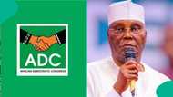 2027 Election: 6 key things to know about adopted coalition party, ADC