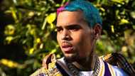 LA police break up Chris Brown's 32nd birthday party of over 400 guests