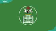 The Katsina State scholarship — what it's worth, who can apply, and how to meet the deadline