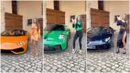 Lady wears same cloths' colours with Ferraris and Lamborghinis in video, Nigerians says her challenge is hard