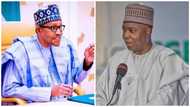2023: Buhari's government is full of deceit, PDP presidential aspirant reveals