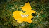 'Yan bindiga sun harbi babban odita na Bauchi, sun kuma yi awon gaba da ɗansa