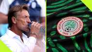 Herve Renard agrees to salary cut to become Super Eagles coach: report