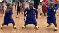 "She no send your papa": Girl with small stature dances with full energy and confidence, video trends