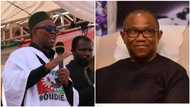 "Nobody can force me out of Nigeria", Peter Obi opens up on UK detention