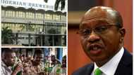 "You cause it": Nigerian Breweries records over N10bn loss in three months, blames CBN policy, other issues