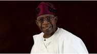 Don't allow cabal to hijack your govt, APC chieftain advises Tinubu