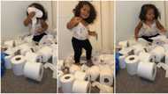 "And she is proud of it": Little baby tears 12 rolls of tissue paper, her mother cries out in video