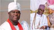 Breaking: Ooni of Ife and queen welcome bouncing baby boy