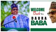 Excitement as Daura residents prepare to welcome President Buhari back home