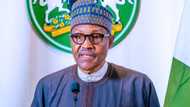 Banditry: Buhari finally reveals why criminal activities thrive in Nigeria