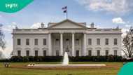 Child slips through presidential White House, US Secret Service goes after toddler