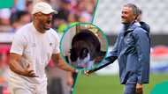 Bayern vs PSG: Mysterious cat predicts who will join Arsenal in Champions League final
