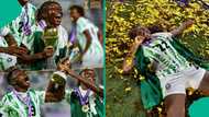 The comeback: Lessons from the Super Falcons' WAFCON victory