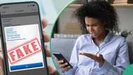 Fake credit alerts: Banks warn customers to beware, give tips to confirm transactions